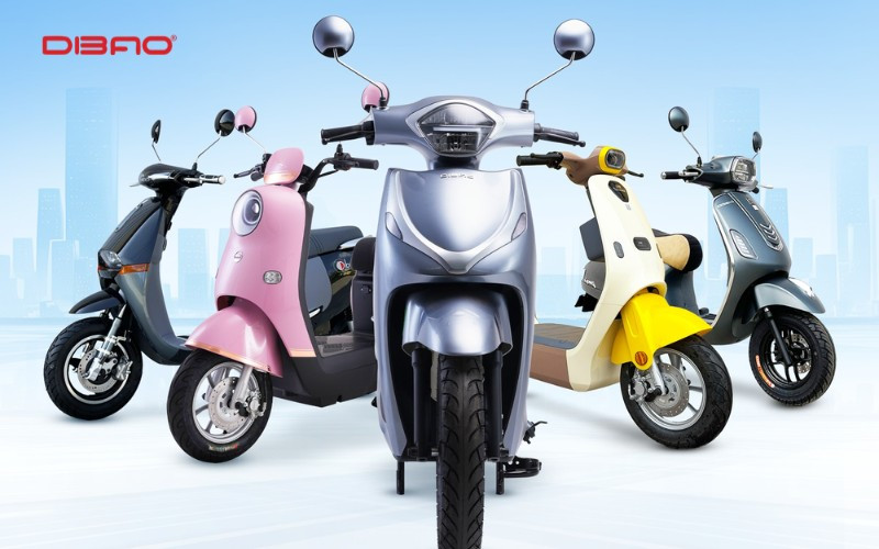 Dibao sẽ luôn hướng dẫn cho khách hàng các thủ tục đăng ký xe máy điện chi tiết